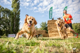 Illustration de l'article : Woof Run 2022 : une nouvelle édition pleine de surprises et de sensations pour les amoureux des sports canins