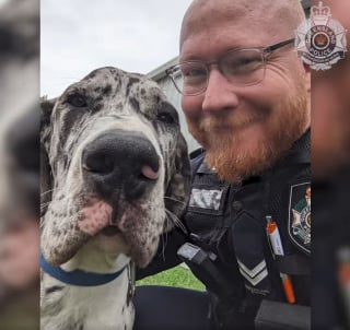 Illustration de l'article : Des policiers bravent les inondations pour sauver 2 hommes et 3 chiens piégés dans une camionnette (vidéo)