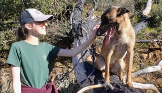 Illustration de l'article : Lors d'une promenade, un Berger Belge Malinois défend sa propriétaire corps et âme contre un puma