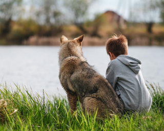 Illustration de l'article : Les enfants ayant grandi avec un chien seraient mieux protégés contre la maladie de Crohn, d’après une étude