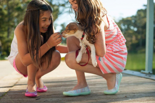 Illustration de l'article : Les enfants ayant grandi avec un chien seraient mieux protégés contre la maladie de Crohn, d’après une étude