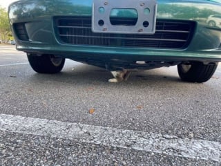 Illustration de l'article : Alertée par un passant, la police intervient pour libérer un chat coincé sous une voiture