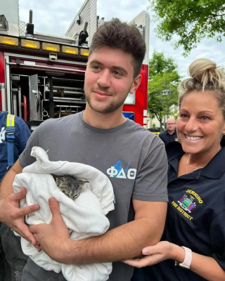 Illustration de l'article : Une chatte prise au piège dans un conduit d'évacuation d'eaux pluviales déclenche l'intervention des pompiers, qui ne font pas que la sauver