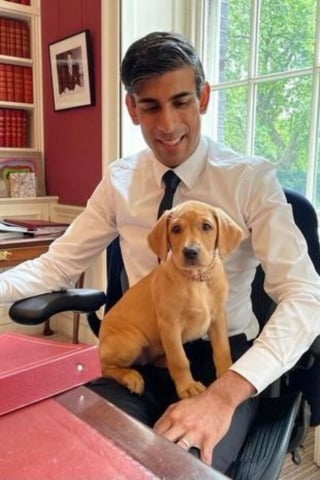 Illustration de l'article : La chienne du nouveau Premier ministre britannique fait une entrée remarquée au 10 Downing Street