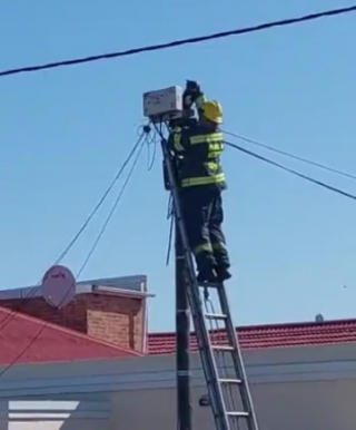 Illustration de l'article : Appelés pour un accident, les pompiers voient un chat coincé au sommet d'un poteau téléphonique et lui viennent en aide (vidéo)