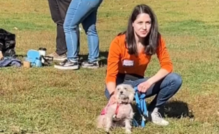 Illustration de l'article : La vidéo d'un petit chien n'intéressant personne lors d'un évènement d'adoption émeut de nombreux internautes