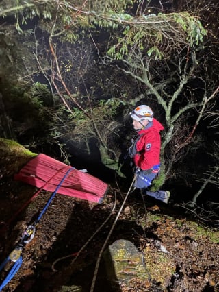 Illustration de l'article : Attiré par un écureuil, un chien se lance à sa poursuite et fait une chute de 15 mètres