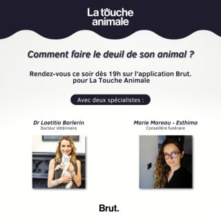 Illustration de l'article : Comment surmonter la disparition de son animal ? On en parle dans le nouveau numéro de La Touche Animale