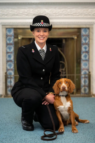 Illustration de l'article : La formidable destinée de Chester, Cocker découvert abandonné car "invendable" et devenu chien policier