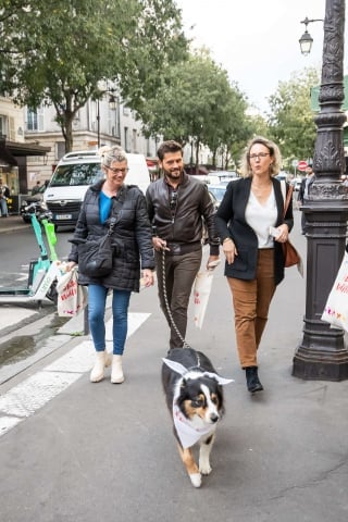 Illustration de l'article : Retour sur « La Marche solidaire de l’Animal en Ville » organisée par Mars Petcare pour sensibiliser les Français et les autorités publiques