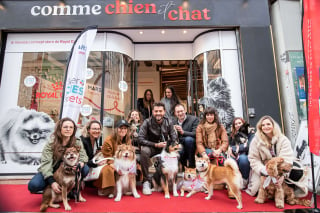 Illustration de l'article : Retour sur « La Marche solidaire de l’Animal en Ville » organisée par Mars Petcare pour sensibiliser les Français et les autorités publiques