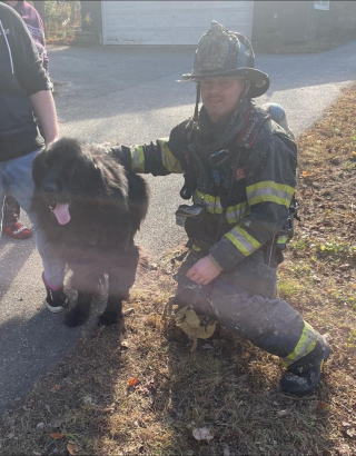 Illustration de l'article : Un incendie éclate dans une maison, les pompiers redoublent d'efforts en apprenant que des chiens et des chats s'y trouvent