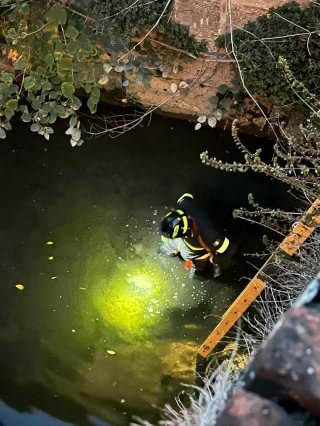 Illustration de l'article : Un chat pris au piège dans une rivière miaule de désespoir jusqu'à l'arrivée des pompiers