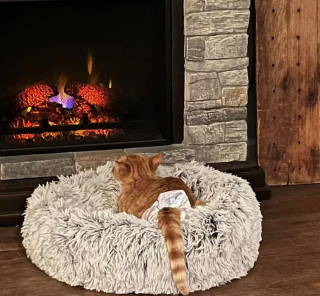 Illustration de l'article : 16 photos de chats se prélassant au coin du feu et donnant envie d'en faire de même