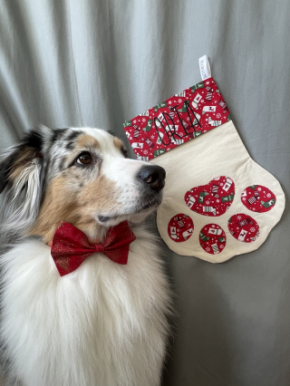 Illustration de l'article : Le 25 décembre, offrez une botte de Noël en forme de patte remplie de cadeaux à votre boule de poils !