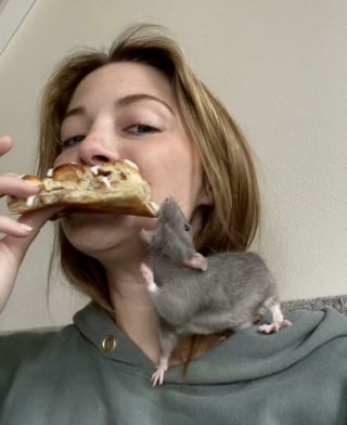 Illustration de l'article : 20 photos qui vous feront comprendre pourquoi les propriétaires de rats aiment tant ces animaux