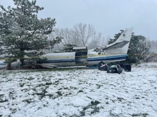 Illustration de l'article : Un avion transportant 53 chiens et 3 personnes s'écrase sur un terrain de golf, tous échappent de justesse à un destin tragique