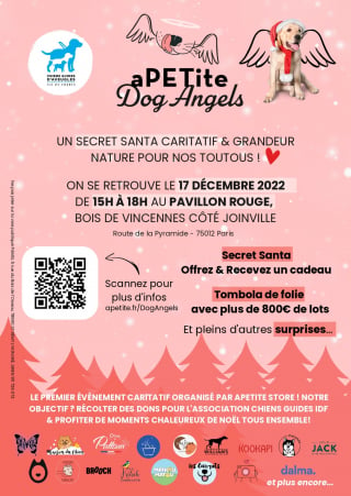 Illustration de l'article : Un Secret Santa caritatif pour aider l'association des Chiens Guides d'Aveugles d'Île-de-France