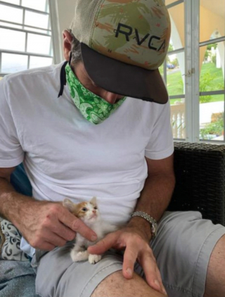 Illustration de l'article : 20 photos touchantes de chats et de chiens dont la vie a changé grâce à l'adoption