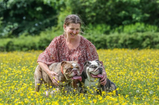 Illustration de l'article : Ce chiot Bulldog Anglais abandonné dans un triste état profite aujourd’hui pleinement de la vie (vidéo)