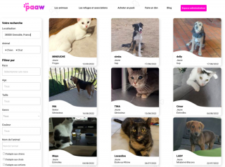 Illustration de l'article : Paaw, la plateforme d'adoption responsable pour offrir une vie meilleure aux animaux abandonnés