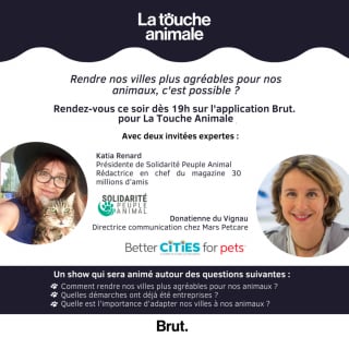 Illustration de l'article : Comment améliorer la vie de nos animaux en ville ? Yoann Latouche pose la question à ses invitées ce soir dans La Touche Animale