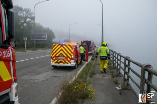 Illustration de l'article : Un chien tombé dans un fleuve risque l'hypothermie, les pompiers interviennent en urgence 