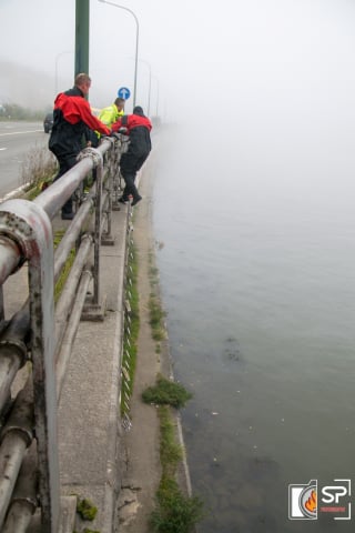 Illustration de l'article : Un chien tombé dans un fleuve risque l'hypothermie, les pompiers interviennent en urgence 