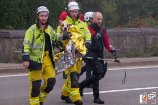 Illustration de l'article : Un chien tombé dans un fleuve risque l'hypothermie, les pompiers interviennent en urgence 