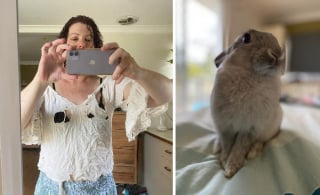 Illustration de l'article : 19 photos prouvant que les lapins savent, eux aussi, nous faire rire