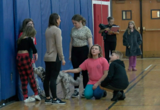 Illustration de l'article : Un chien de thérapie à l'école pour encourager les élèves en cours d'éducation physique