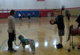 Illustration de l'article : Un chien de thérapie à l'école pour encourager les élèves en cours d'éducation physique