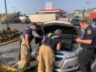 Illustration de l'article : Une jeune fille entend des miaulements provenant du moteur d'une voiture en stationnement et prévient les secours