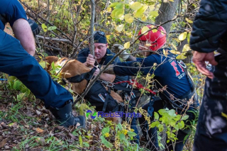 Illustration de l'article : Il tente de sauver son chien tombé dans une gorge et doit être secouru à son tour