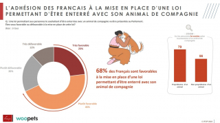 Illustration de l'article : Être inhumé avec son animal de compagnie : 7 Français sur 10 favorables à une loi l’autorisant