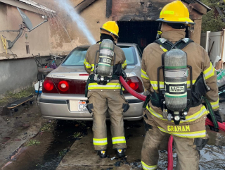 Illustration de l'article : Un chat pris au piège dans une maison en feu et sur le point de s'écrouler, les pompiers interviennent