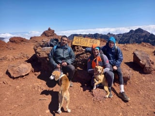 Illustration de l'article : Ils sauvent un chien perdu en montagne et qu'ils croyaient errant, puis apprennent qu'on le cherchait depuis des mois