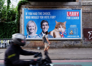 Illustration de l'article : Larry, le chat souricier du 10 Downing Street, convoite désormais le poste de Premier ministre britannique