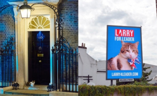 Illustration de l'article : Le Royaume-Uni a une nouvelle Première ministre, mais Larry le chat du 10 Downing Street reste bien en place