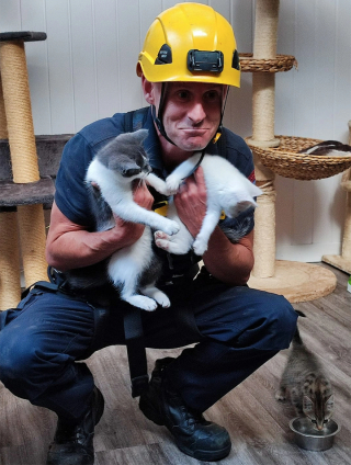 Illustration de l'article : Les portes d’un refuge hors service après une coupure de courant : les pompiers interviennent pour secourir des chatons affamés