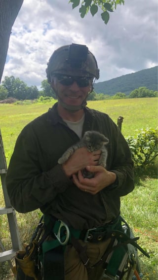 Illustration de l'article : Un colonel à la retraite se reconvertit en sauveur de chats coincés dans les arbres