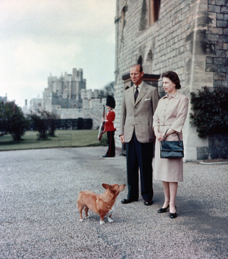 Illustration de l'article : 18 superbes photos illustrant l'amour que portait la reine Elisabeth II pour ses chiens