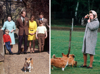 Illustration de l'article : 18 superbes photos illustrant l'amour que portait la reine Elisabeth II pour ses chiens