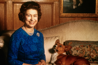 Illustration de l'article : 18 superbes photos illustrant l'amour que portait la reine Elisabeth II pour ses chiens