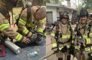 Illustration de l'article : Les pompiers évacuent et réaniment un chien et un chat prisonniers des flammes dans l'incendie de leur maison (vidéo)