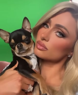 Illustration de l'article : Désespérée, Paris Hilton lance un appel à l'aide sur Instagram pour retrouver sa chienne perdue