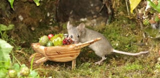 Illustration de l'article : Il s'aperçoit que des souris vivent dans son jardin et décide de leur construire un adorable mini village "tolkienien"