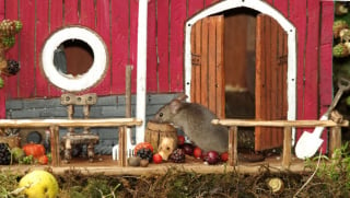 Illustration de l'article : Il s'aperçoit que des souris vivent dans son jardin et décide de leur construire un adorable mini village "tolkienien"