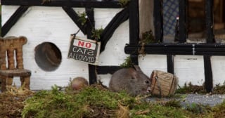 Illustration de l'article : Il s'aperçoit que des souris vivent dans son jardin et décide de leur construire un adorable mini village "tolkienien"