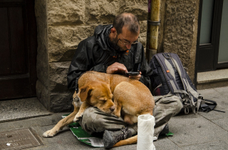 Illustration de l'article : Vivre dans la rue avec son animal de compagnie, c’est relever les défis ensemble, à chaque instant